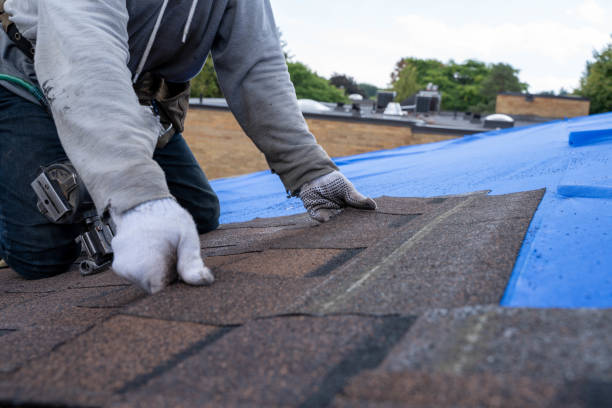 Emergency Roof Repair in Palisades Park, NJ